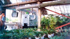 花卉种植大棚供暖